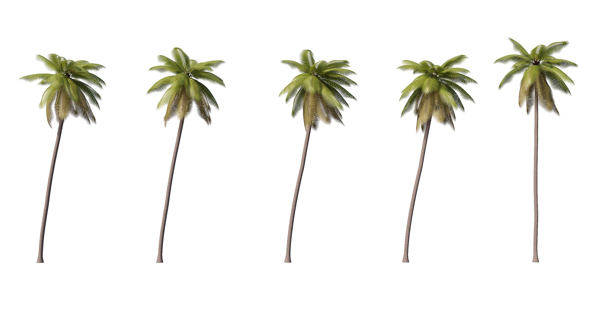 3D Palms Lowpoly Set 02 with LODs model https://p.turbosquid.com/ts-thumb/bj/ndaQSI/Iz/render_2/jpg/1754749393/1920x1080/fit_q87/ca5fda64c99511f502bad93eda30fc2bbbbc1c42/render_2.jpg