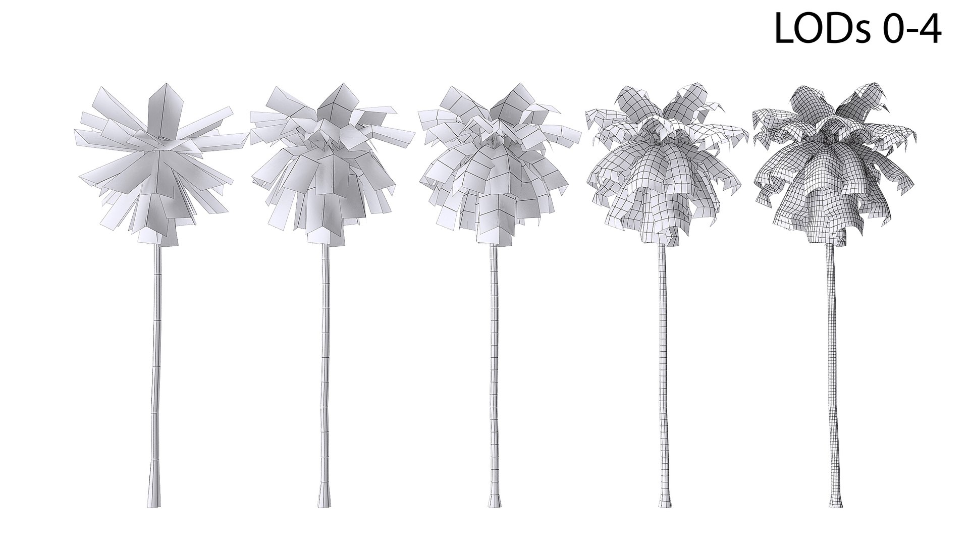 3D Palms Lowpoly Set 02 with LODs model https://p.turbosquid.com/ts-thumb/bj/ndaQSI/iU/wire_lod04/jpg/1754749388/1920x1080/fit_q87/cf9d8b41bfb2ecdc705c184bec8f98b1f9aac349/wire_lod04.jpg