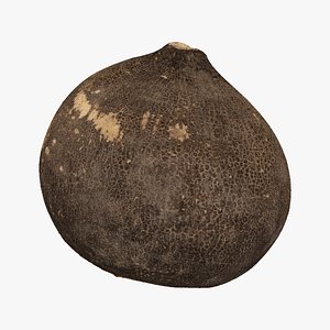 3D model turnip black 05 raw