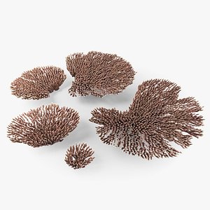 3D Acropora Corals M Collection
