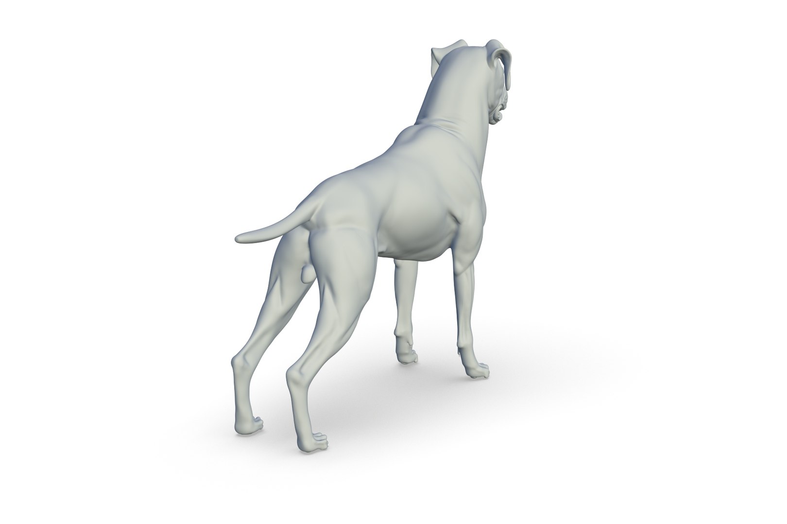 Boxer 3D model https://p.turbosquid.com/ts-thumb/bk/Gi9F8Y/5v/render_07/jpg/1712494729/1920x1080/fit_q87/1d1f10ace314f5eb241d2d8deca2494e069d835f/render_07.jpg