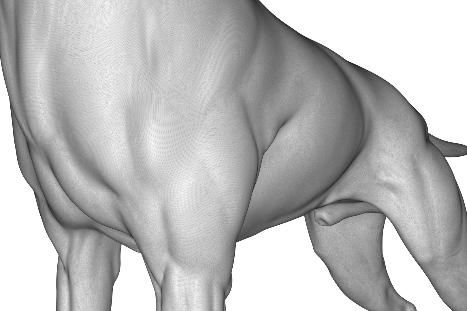 Boxer 3D model https://p.turbosquid.com/ts-thumb/bk/Gi9F8Y/64/render_23/jpg/1712494740/1920x1080/fit_q87/aa56e3dbc33600878efbad2dd8b2214f84dd1e68/render_23.jpg