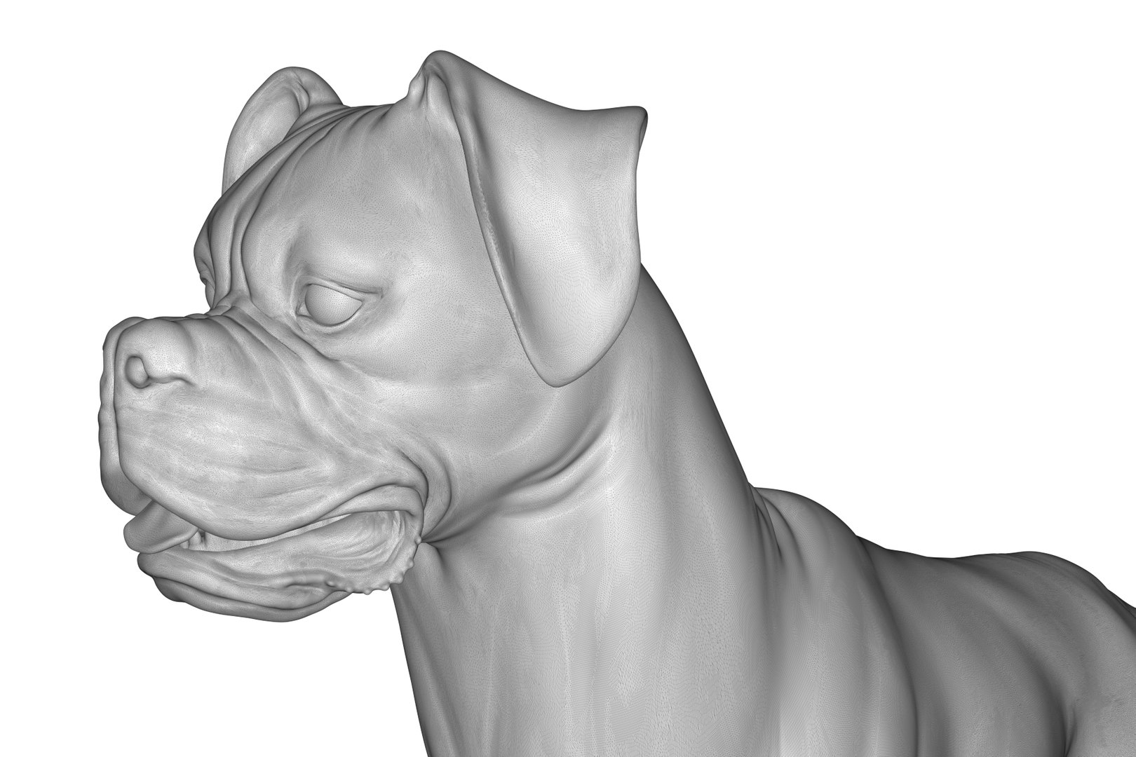 Boxer 3D model https://p.turbosquid.com/ts-thumb/bk/Gi9F8Y/AZ/render_21/jpg/1712494739/1920x1080/fit_q87/5c67d444791420b4aaa7fa42f72196d783bc8065/render_21.jpg