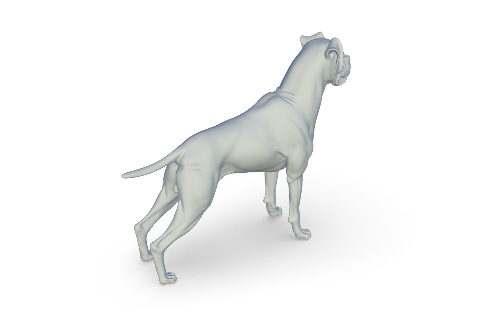Boxer 3D model https://p.turbosquid.com/ts-thumb/bk/Gi9F8Y/B8/render_08/jpg/1712494729/1920x1080/fit_q87/239b0beb470d66c51305c679cbd6a57143f7813d/render_08.jpg