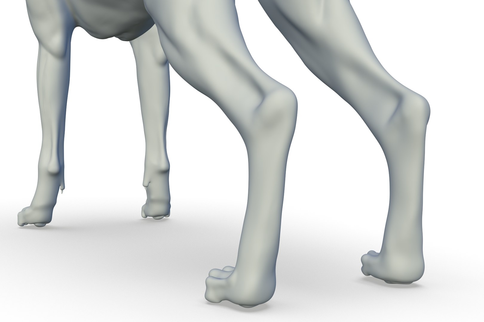 Boxer 3D model https://p.turbosquid.com/ts-thumb/bk/Gi9F8Y/PH/render_19/jpg/1712494738/1920x1080/fit_q87/f82b4a468b224763960b7e0a21789d6fc7796b3c/render_19.jpg