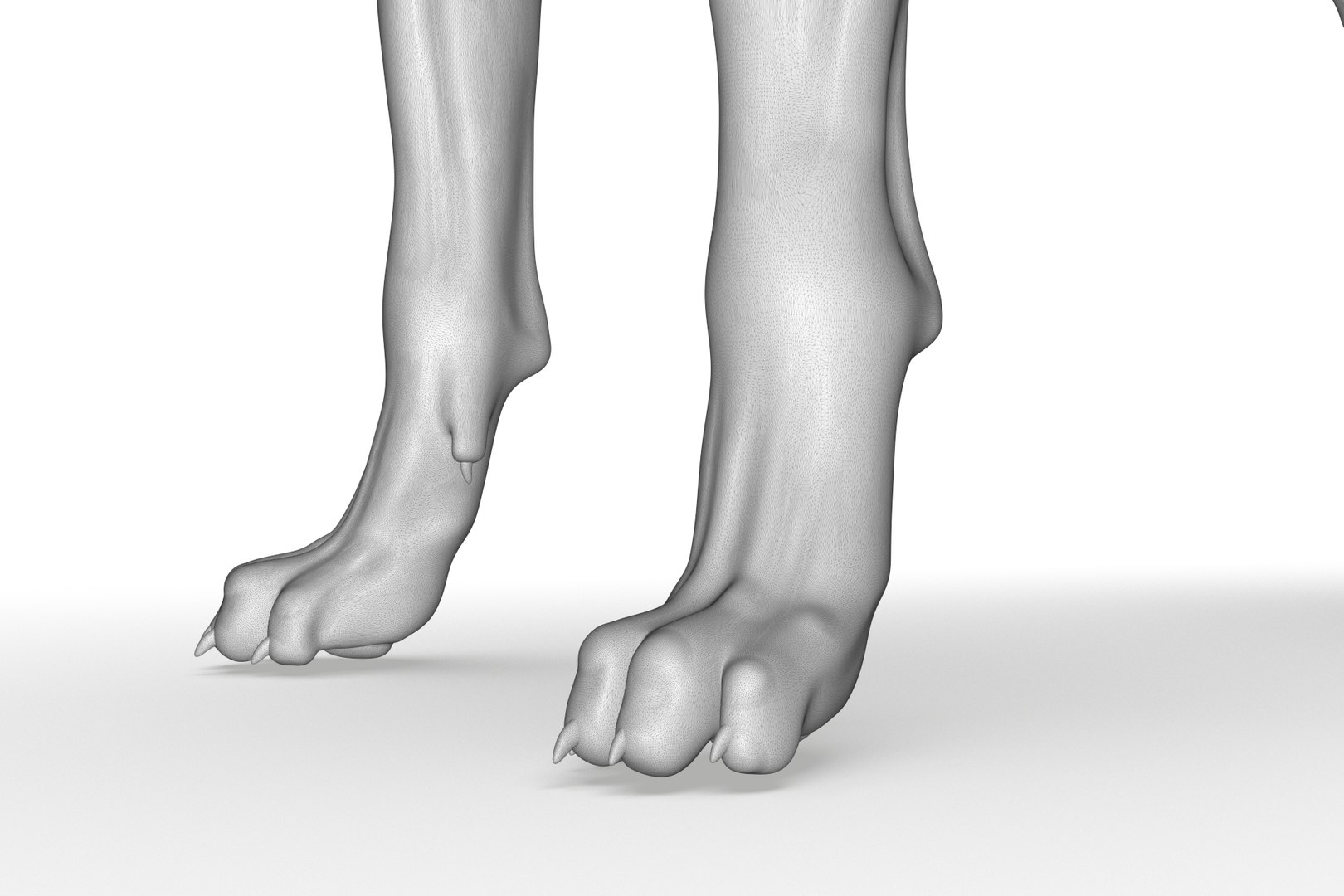 Boxer 3D model https://p.turbosquid.com/ts-thumb/bk/Gi9F8Y/jC/render_22/jpg/1712494740/1920x1080/fit_q87/d1e5b48dbd596cf7a9c0f042e174b4743fa1ba54/render_22.jpg