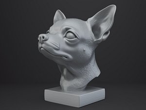 3D Chihuahua Dog Bust model