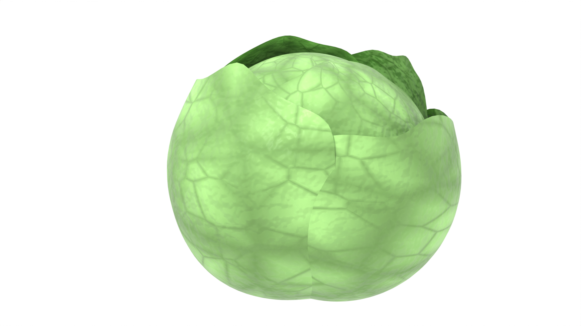 3D Cartoon Lettuce https://p.turbosquid.com/ts-thumb/bk/TDYAf2/Uk/lettuce/png/1722714146/1920x1080/turn_fit_q99/9d23165b01a0a85e3f2906de2fcd2ef36ef53ec1/lettuce-1.jpg