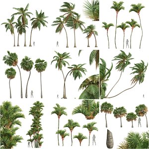 3D 9 Different SETS of Tree Set Vol 23 model