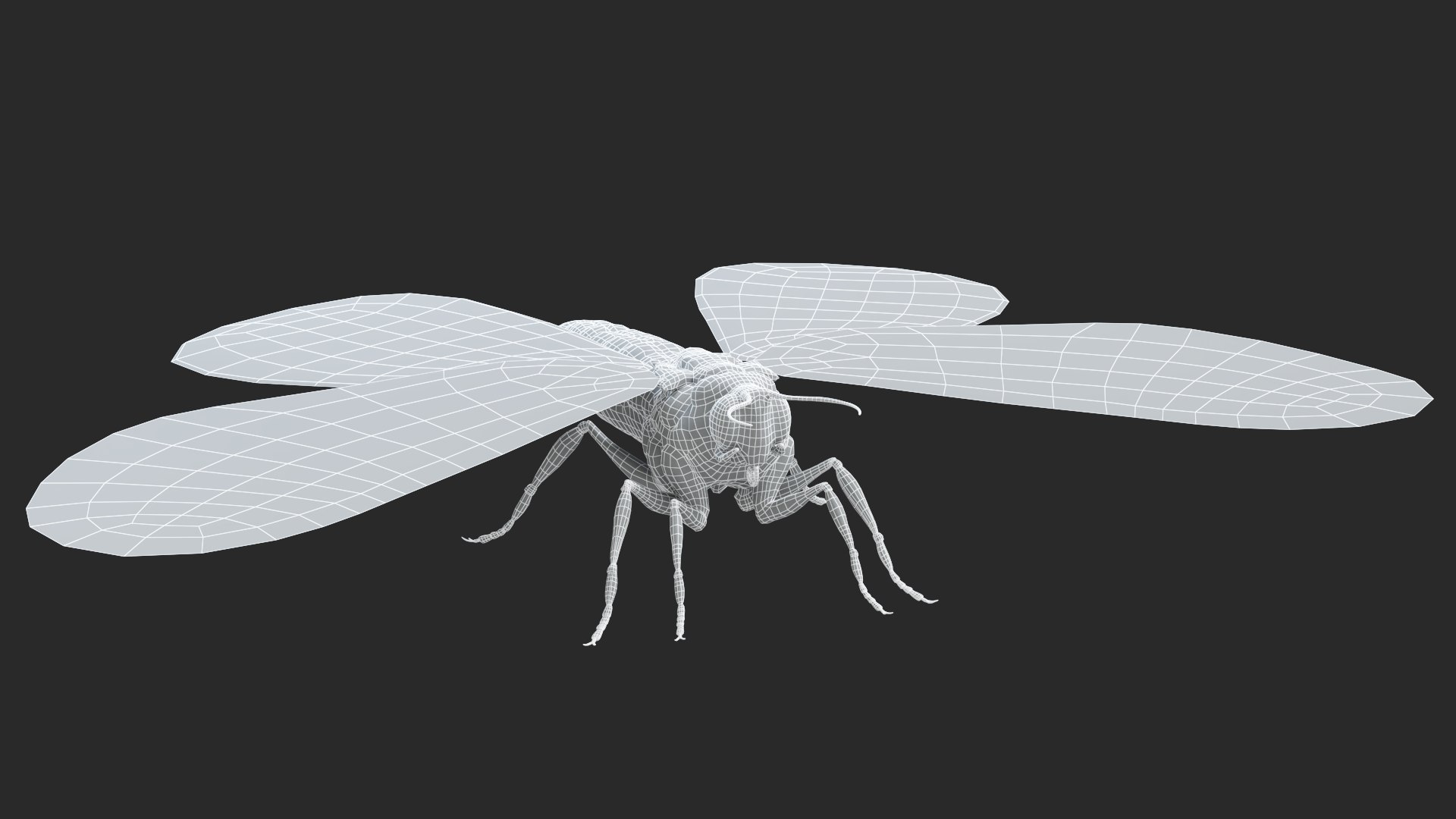 Owl Moth Static 3D model https://p.turbosquid.com/ts-thumb/bk/i1DsAK/Lf/theowlmoth_wireframe2/jpg/1672651590/1920x1080/fit_q87/3130c1a23a54835b8635de6d60224293e3338e3a/theowlmoth_wireframe2.jpg