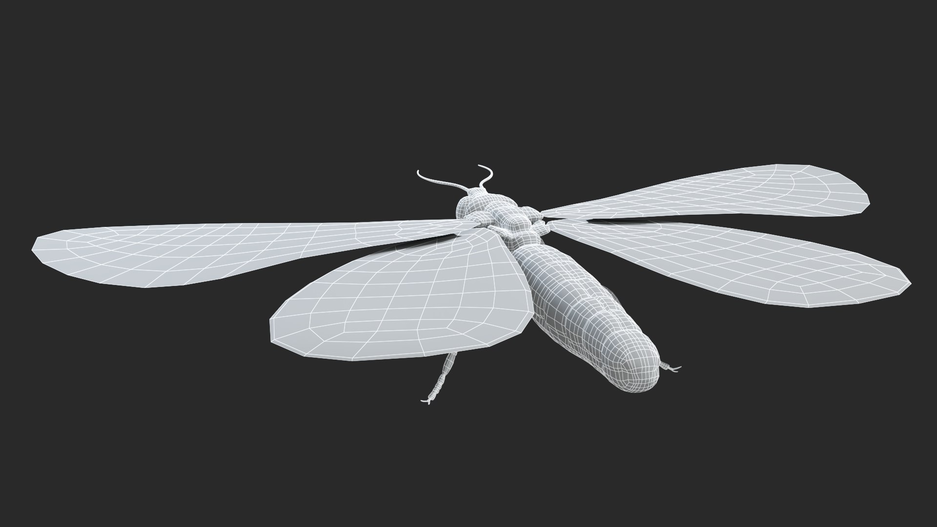 Owl Moth Static 3D model https://p.turbosquid.com/ts-thumb/bk/i1DsAK/yK/theowlmoth_wireframe3/jpg/1672651591/1920x1080/fit_q87/5d6cff0eea58ce50e319a04a6c21f696480c4726/theowlmoth_wireframe3.jpg