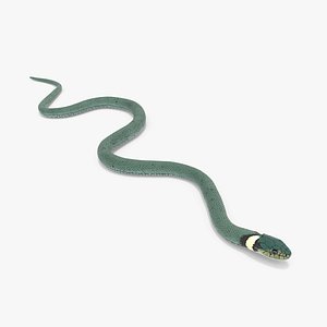 Water Snake Green Crawling