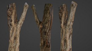 Tree trunk 3D model