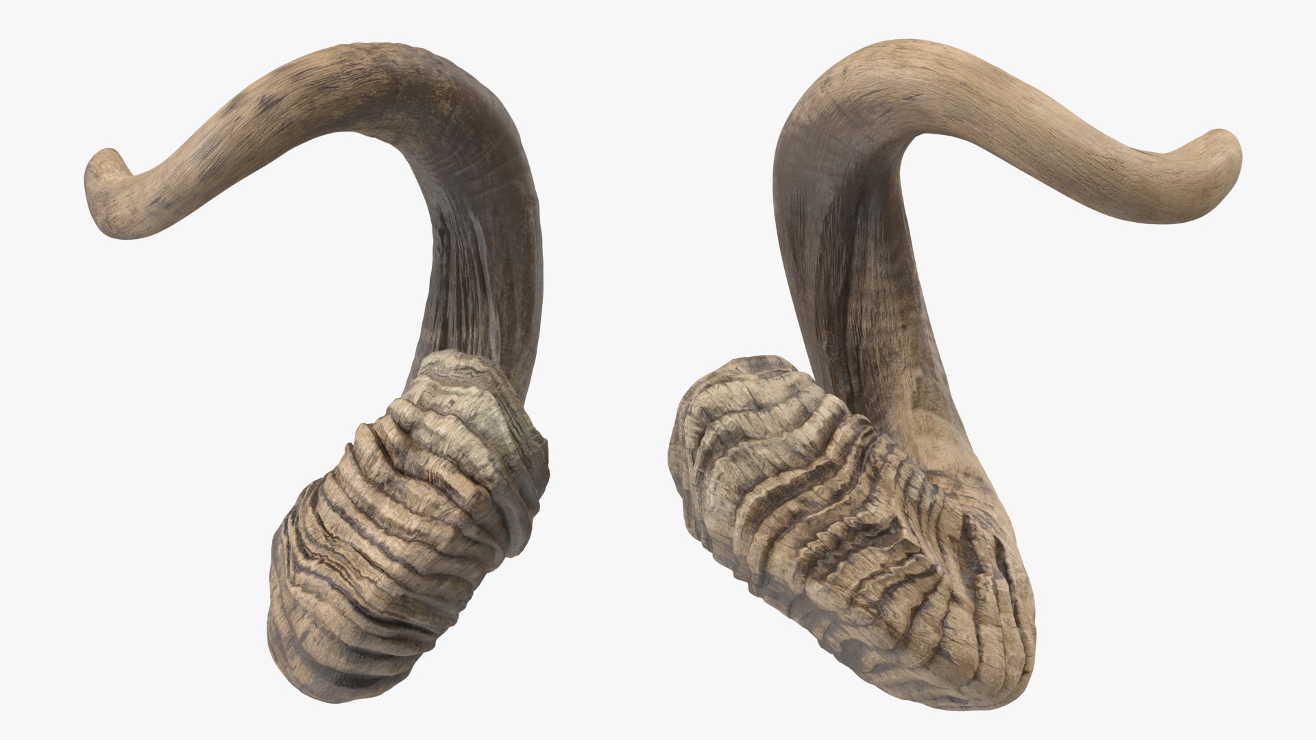 Animal Twisted Horns Dark 3D model https://p.turbosquid.com/ts-thumb/bk/vdsGLD/d0/animaltwistedhornsdarkvray3dmodel012/jpg/1661767631/1920x1080/fit_q87/e35223d1720131d5fdcbad4152fdad138b4d65e5/animaltwistedhornsdarkvray3dmodel012.jpg
