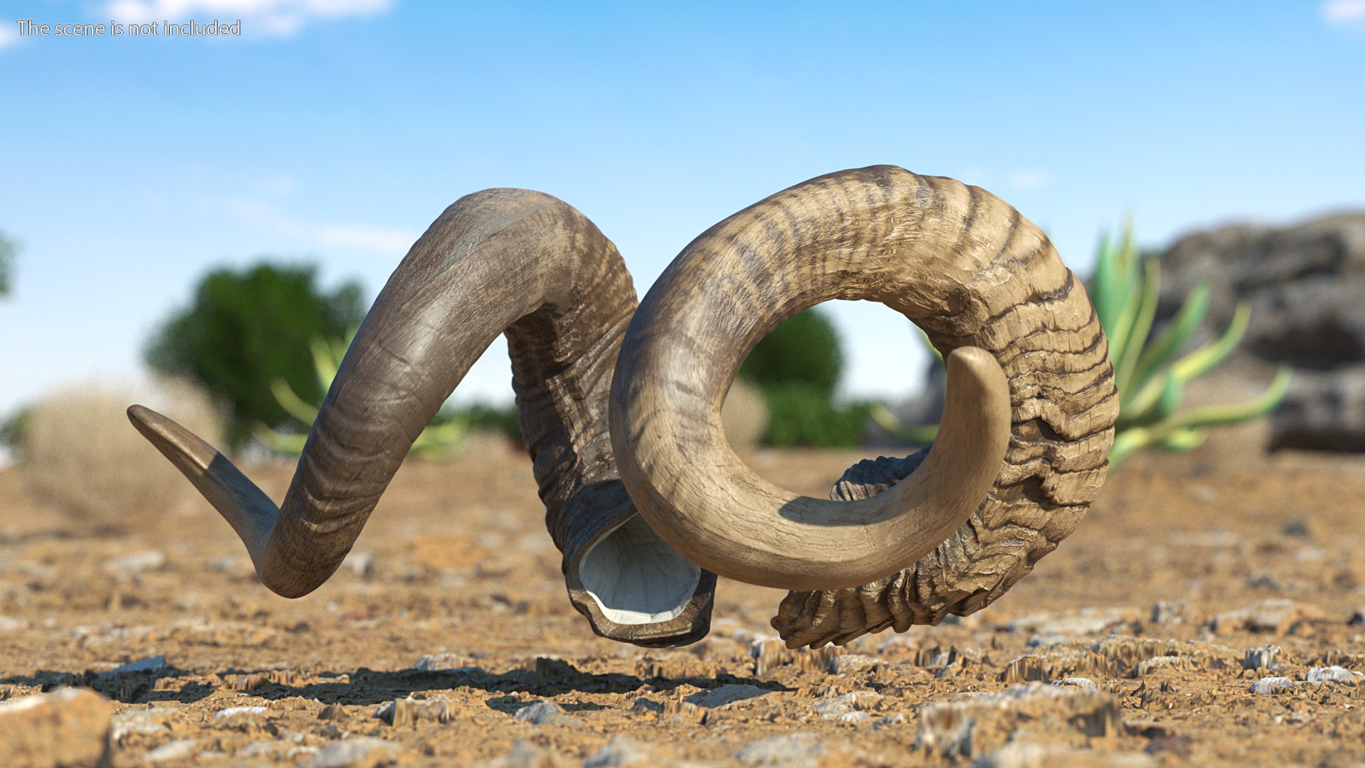Animal Twisted Horns Dark 3D model https://p.turbosquid.com/ts-thumb/bk/vdsGLD/jE/animal_twisted_horns_dark_003/png/1662483911/1920x1080/fit_q87/a5fb622a8390269fb62e906f62790f525994476b/animal_twisted_horns_dark_003.jpg