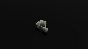 cervical vertebra 3D model