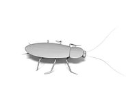 cucaracha, cockrach