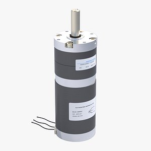Gear Motor