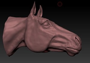 Horse Head
