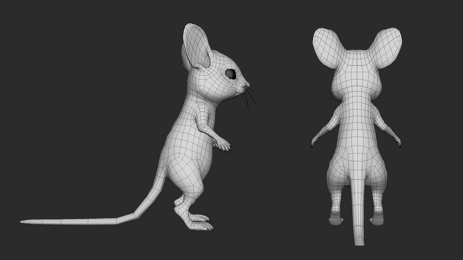 Baby Mouse Model - TurboSquid 2238418
