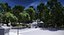 White House Area Scene