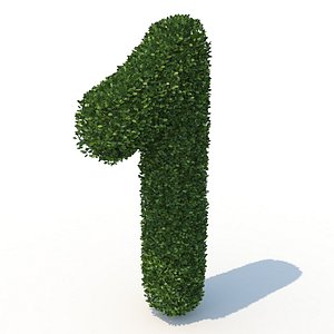 1 hedge 3D