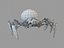 Aranha