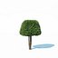 Taxus Baccata # 6 zestaw topiary 2