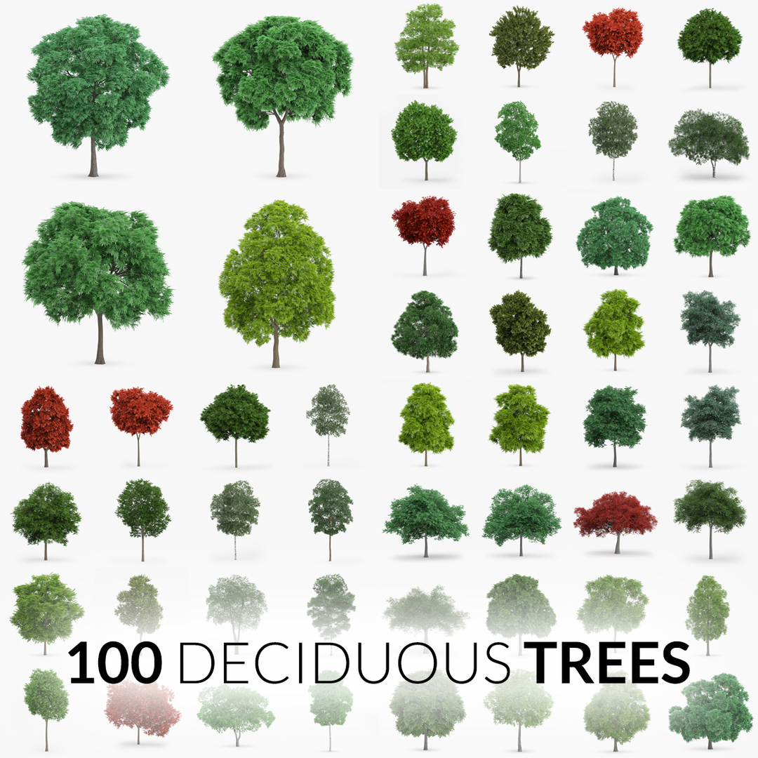 100 дерево. VRMESH. Tree 100.