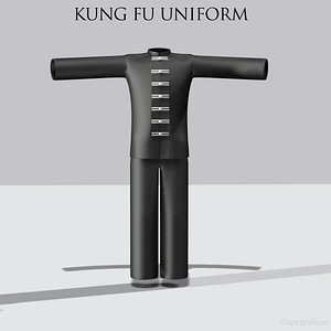 3D kung fu uniform