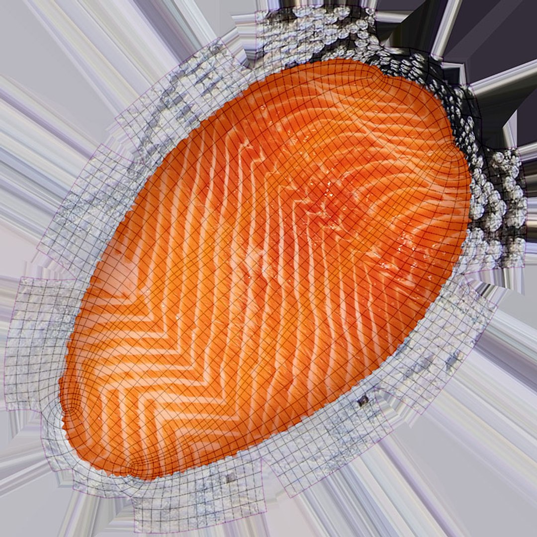 Salmon Fillet 04 3D model https://p.turbosquid.com/ts-thumb/bm/KryxEn/Ik/salmonfilletv4_d0004/jpg/1727201063/1920x1080/fit_q87/65325bcbb26f63eed5a8c33062ef4cc91b354f92/salmonfilletv4_d0004.jpg