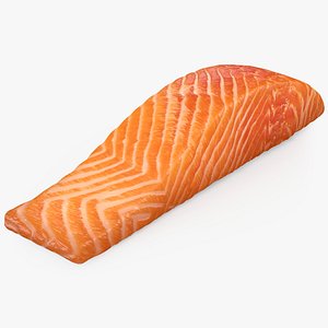 Salmon Fillet 04