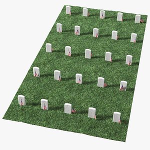 Graveyard World War Heroes 5x5 Fur
