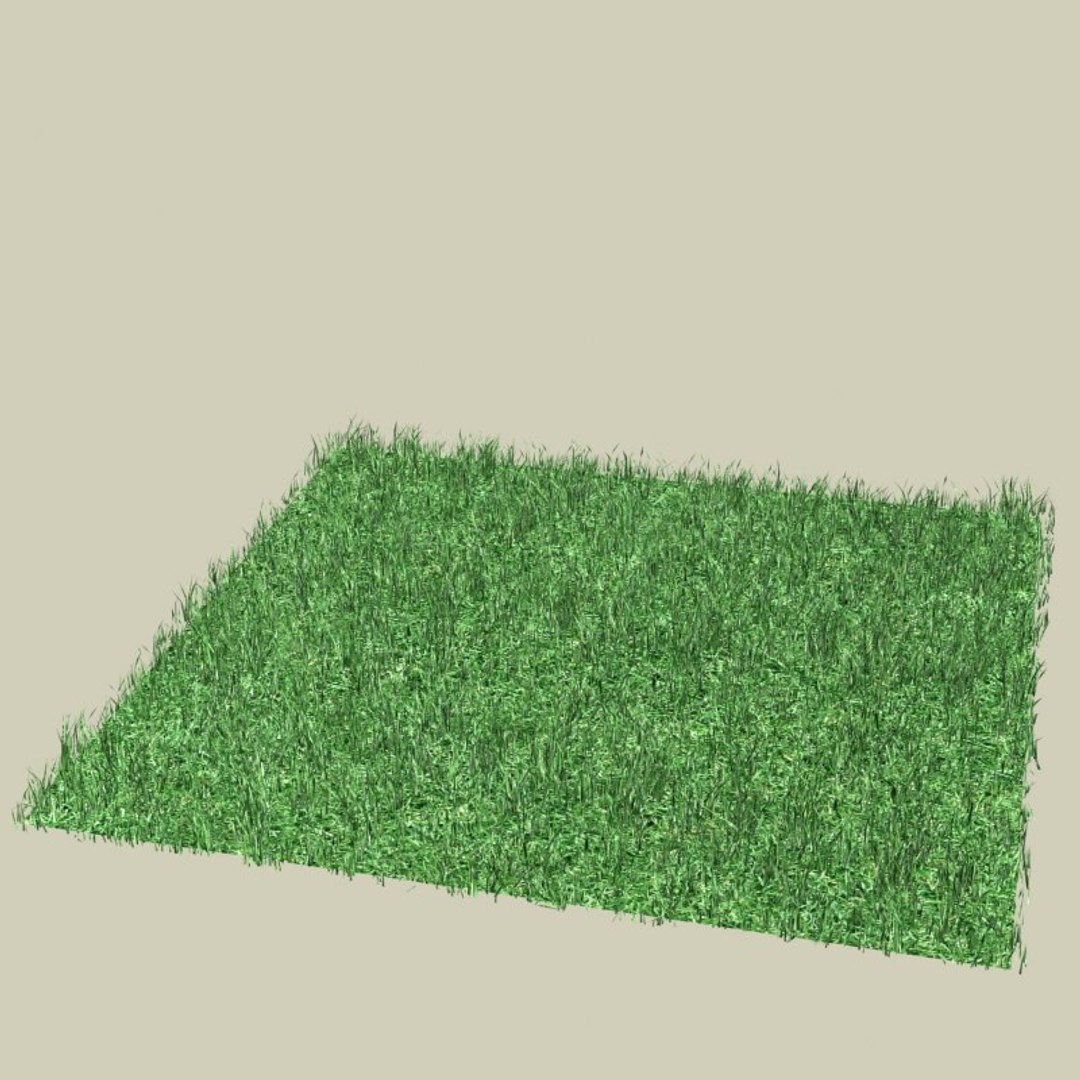 Grass Max