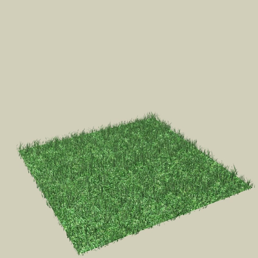 Grass Max