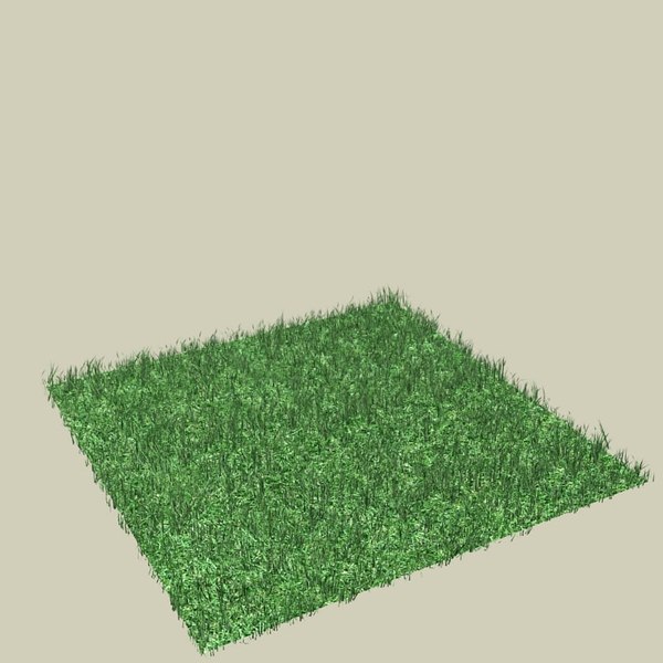 Grass Max