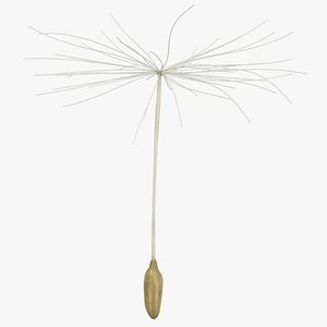 3D dandelion seed