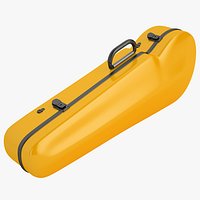 Bam Case Viola Close 04