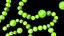 Blue Green Algae