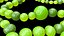 Blue Green Algae