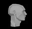 Planes of the Head - Male Asaro