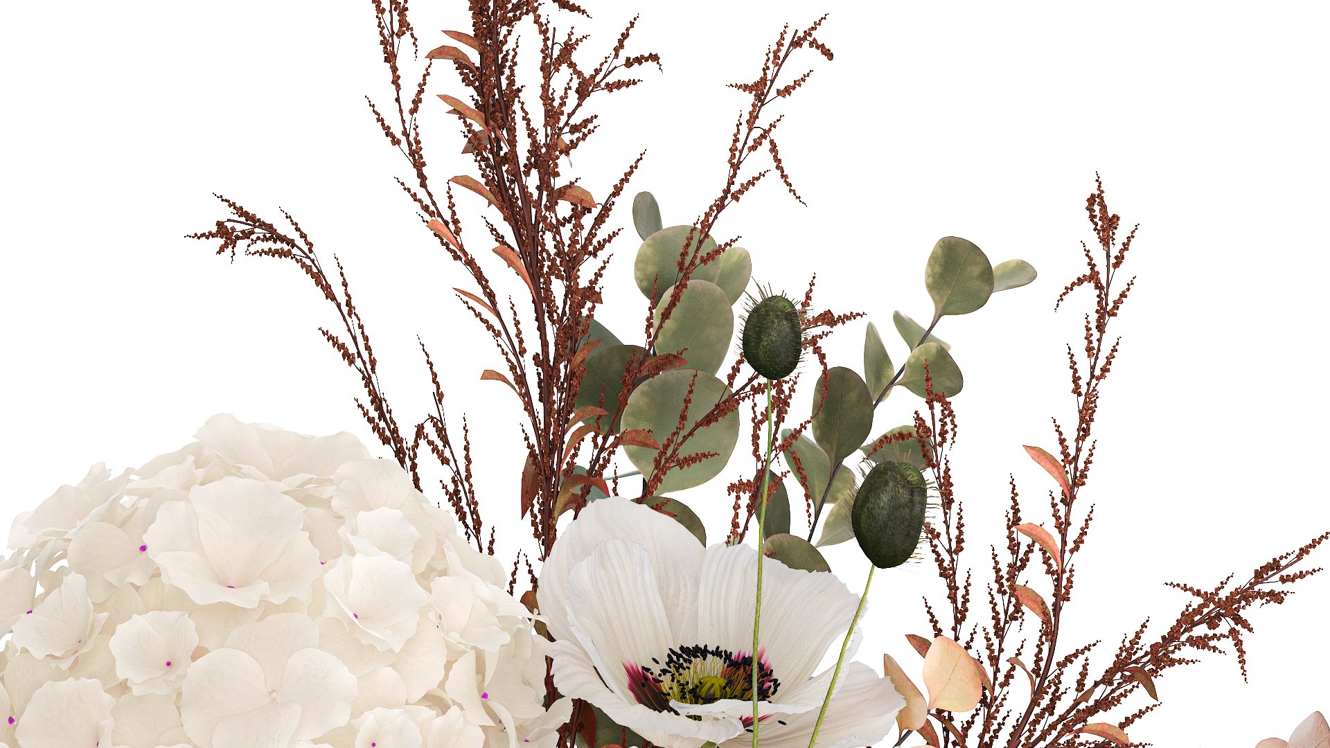 Bouquet Of Dried Flowers Poppy Hydrangea Barberry 460 3D Model