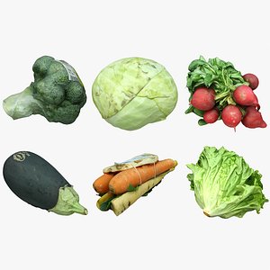Vegetables Collection 03