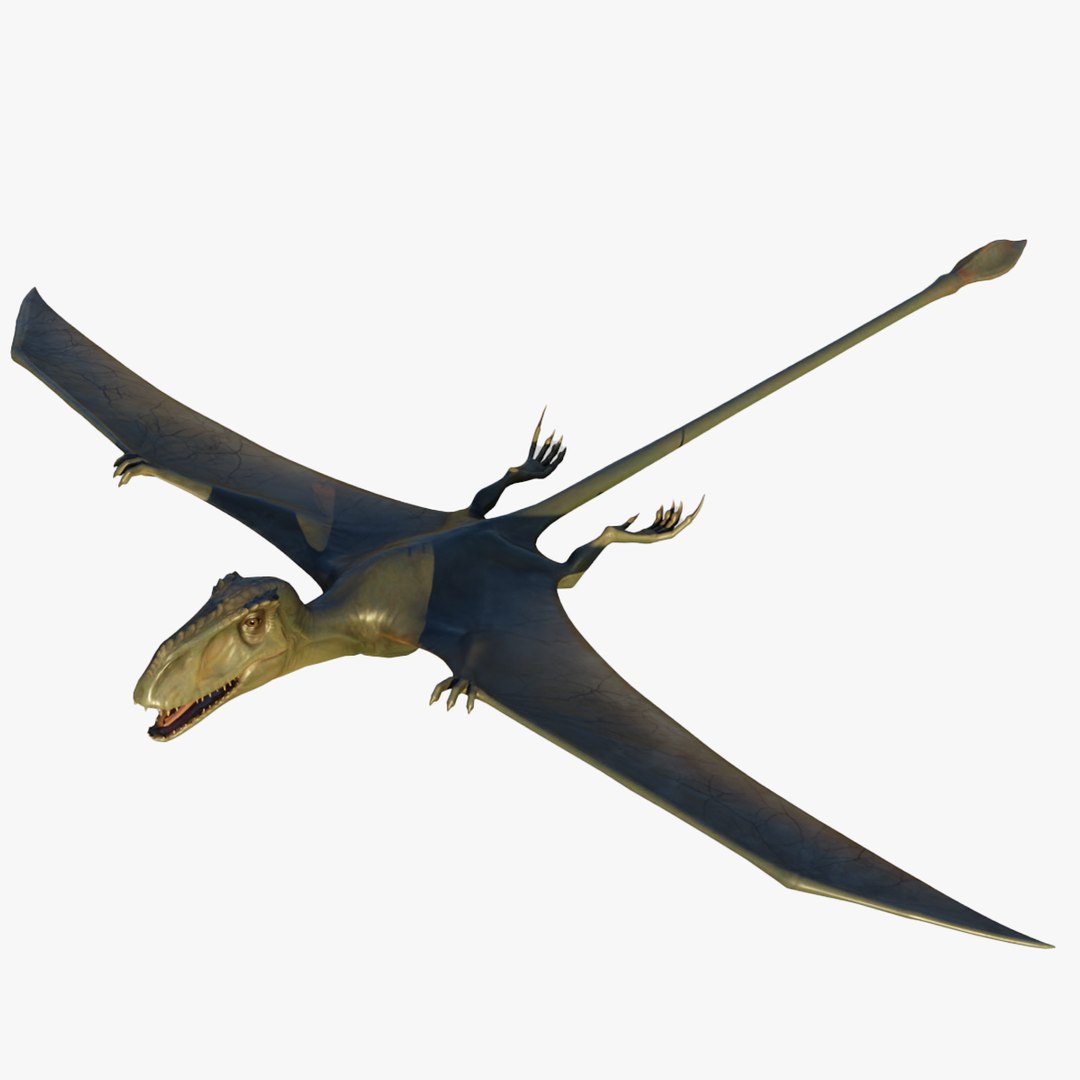 3D model Dimorphodon 3d model Dinosaur - TurboSquid 2077295