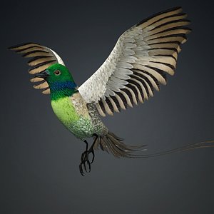 3D Pheasant Bird-B3