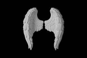 3D model Sculpture of a Pair of Angel Wings Print Model