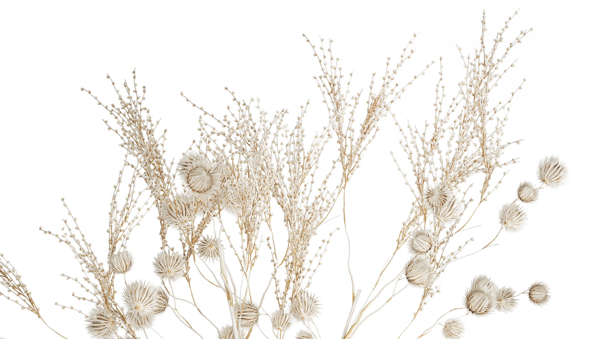 Bouquet of dried flowers from white branches of thistle 546 model https://p.turbosquid.com/ts-thumb/bn/OmQH0q/4F/1bouquetwhite050406/jpg/1745243883/1920x1080/fit_q87/47882072235860d30baeba2313b8b2cef75bbd4a/1bouquetwhite050406.jpg