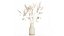 Bouquet of dried flowers from white branches of thistle 546
