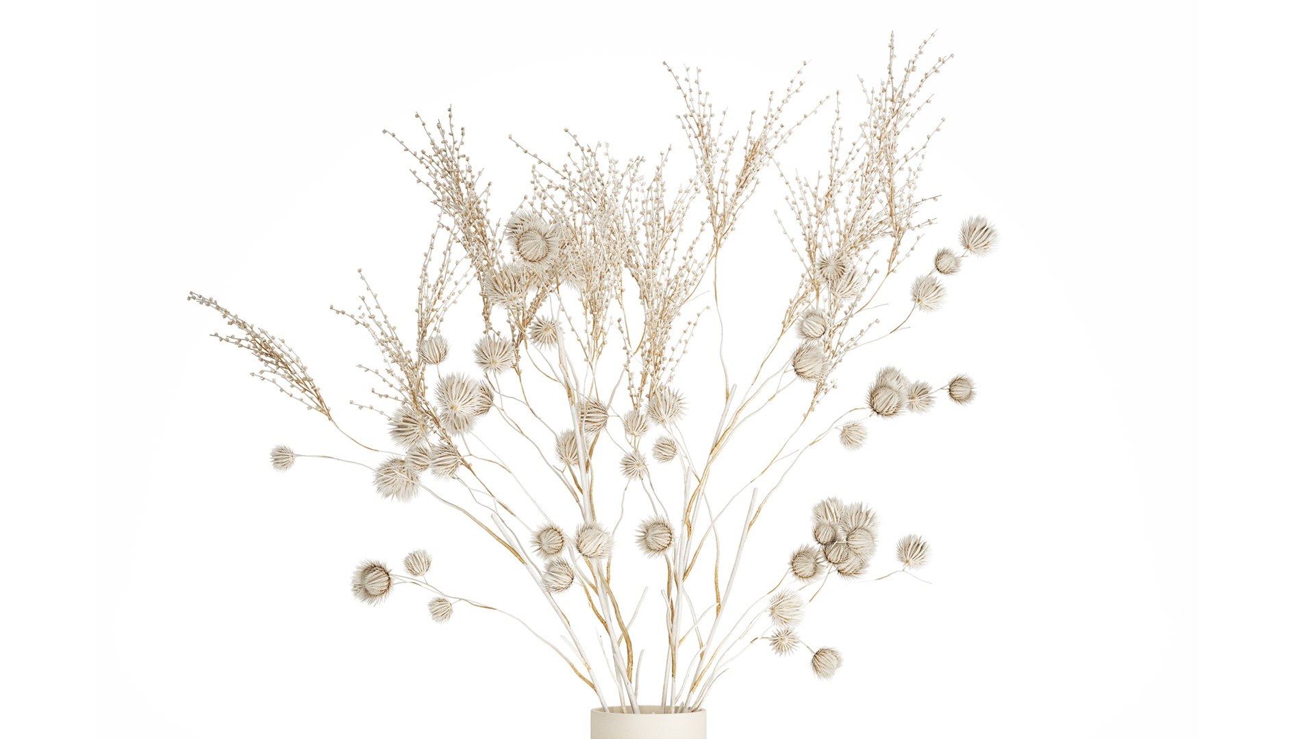 Bouquet of dried flowers from white branches of thistle 546 model https://p.turbosquid.com/ts-thumb/bn/OmQH0q/6r/1bouquetwhite050403/jpg/1745243882/1920x1080/fit_q87/a4ea43bb535571d9811dca771c6b71a4dd5bcb07/1bouquetwhite050403.jpg