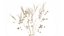 Bouquet of dried flowers from white branches of thistle 546
